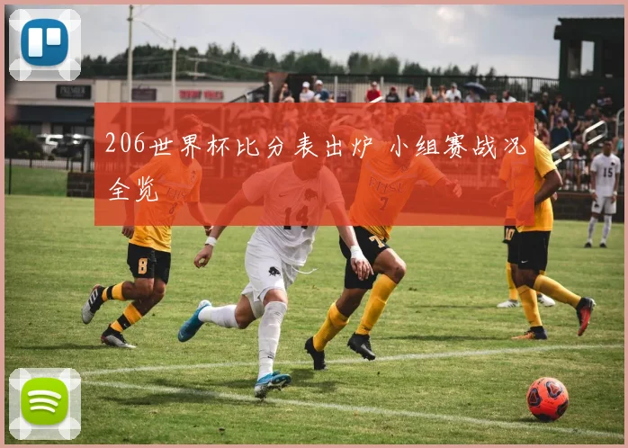 206世界杯比分表出炉 小组赛战况全览