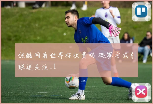 优酷网看世界杯收费吗 观赛方式引球迷关注_1
