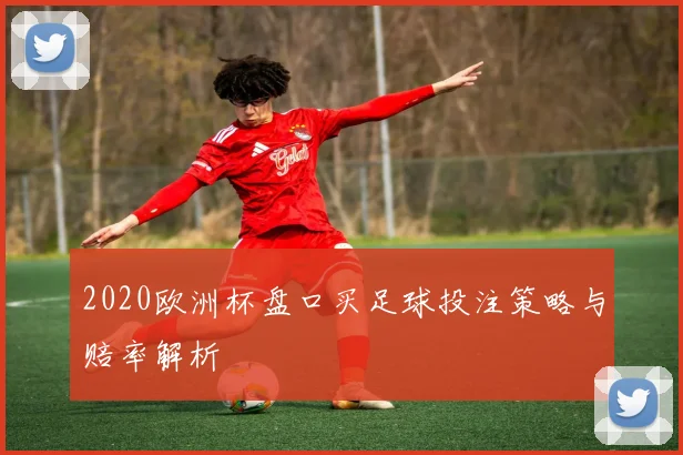 2020欧洲杯盘口买足球投注策略与赔率解析