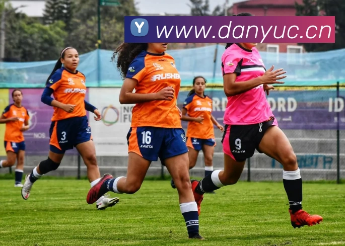 多媒体互动体验